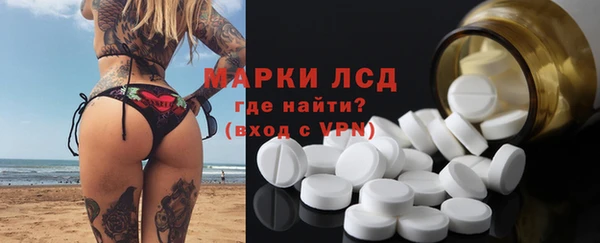 амф Вяземский