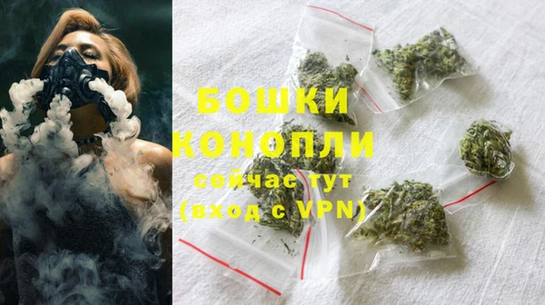 амф Вяземский