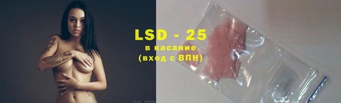 spice Вязьма