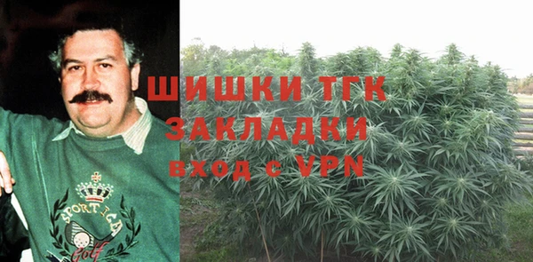 амф Вяземский