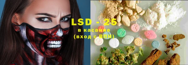 амф Вяземский